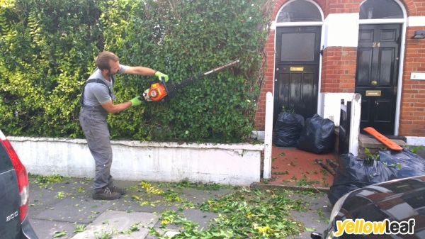 Gardening Services Wadhurst