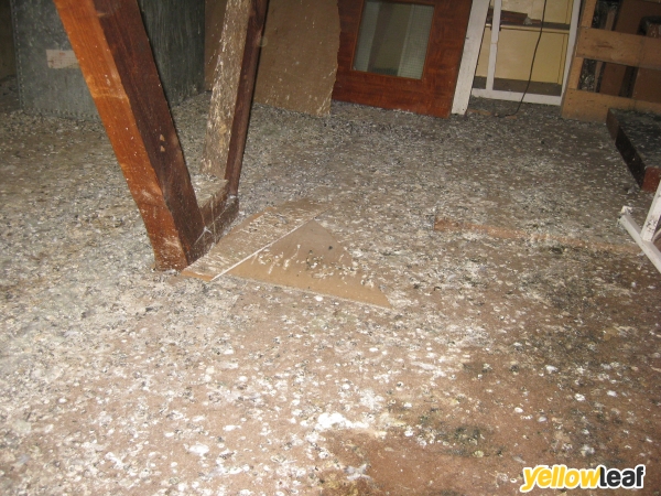 Predator Pest Solutions Ltd