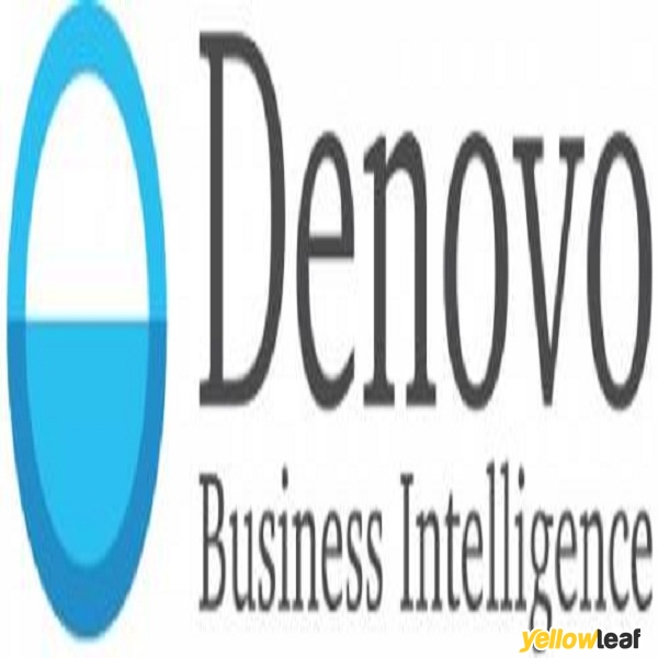 Denovo Business Intelligence Limited