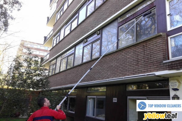 Top Window Cleaners