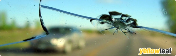 DF Windscreens