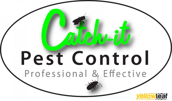 24 HOUR PEST CONTROL IN LONDON