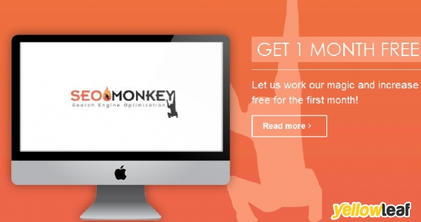 SEO Monkeys