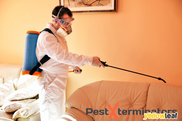 Pest Xterminators