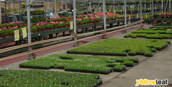 Markham Grange Nursery & Steam Museum