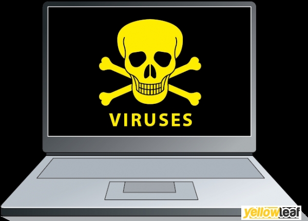 norton setup support