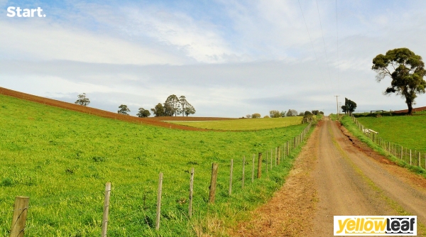 Start Marketing Group