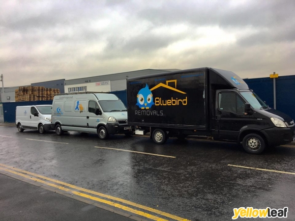 Bluebird Cargo LTD