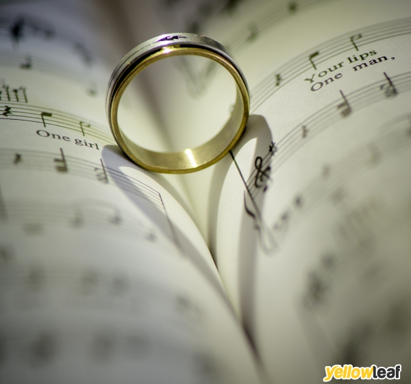 Profound Image Photography