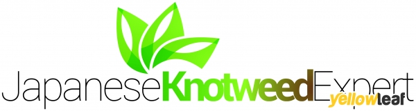 Japanese Knotweed Expert