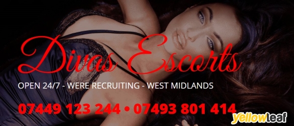 Divas Escort Agency