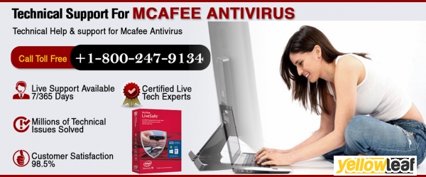 MCafee Customer Support Service
