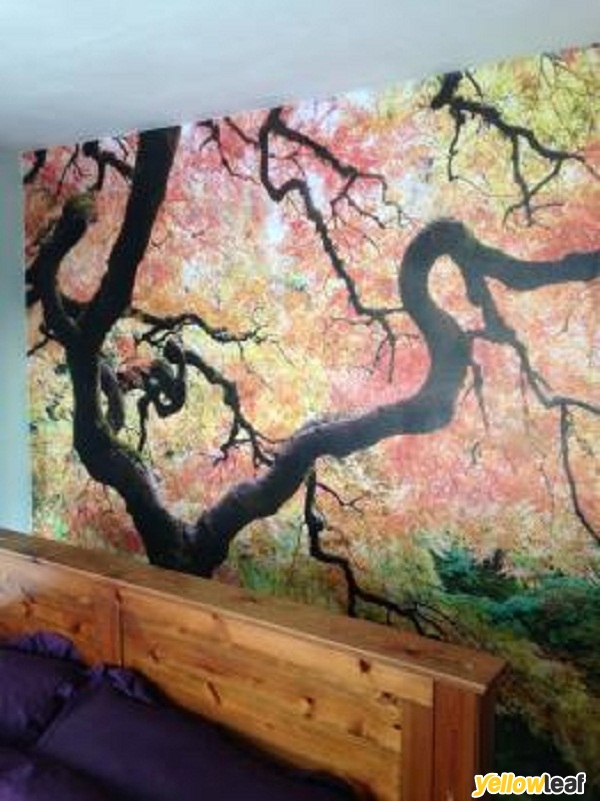NIGEL CANN PAINTER & DECORATOR