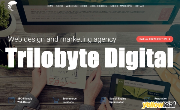 Trilobyte Digital Marketing