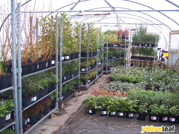 Brooklands Plant Nursery