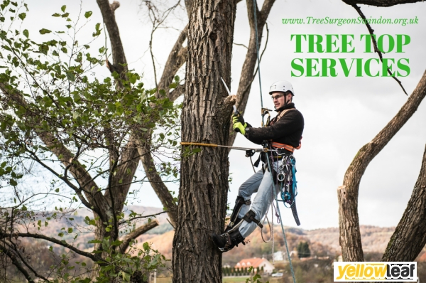 Tree Top Services