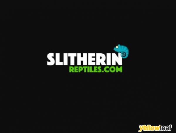 Slitherin Reptiles