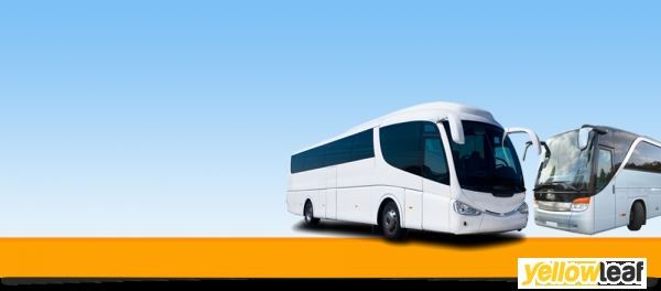 Amber Coaches Ltd