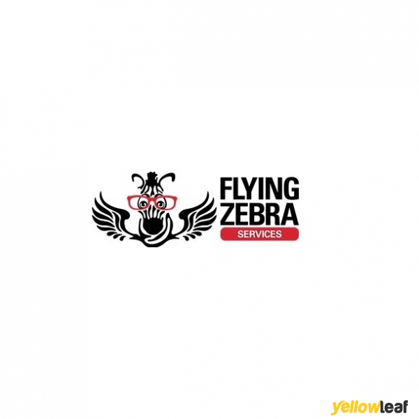 Flying Zebra Cleaning