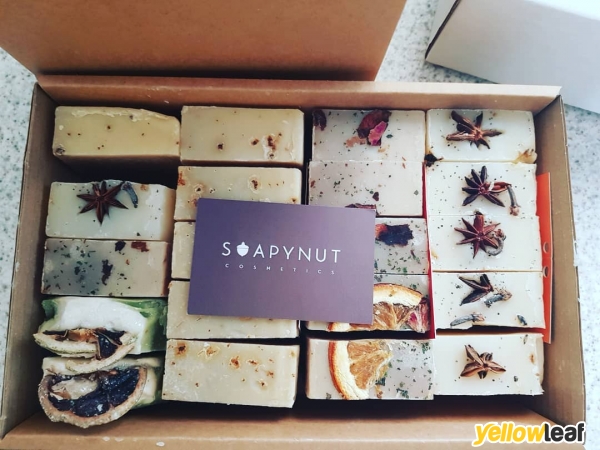 Soapynut Cosmetics