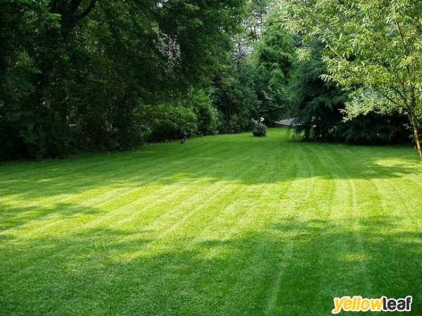 Green Grass Landscapes Glasgow