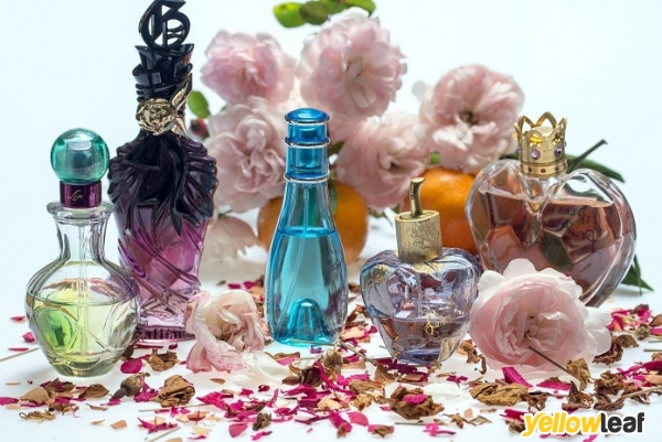 Fragrances Cosmetics Perfumes