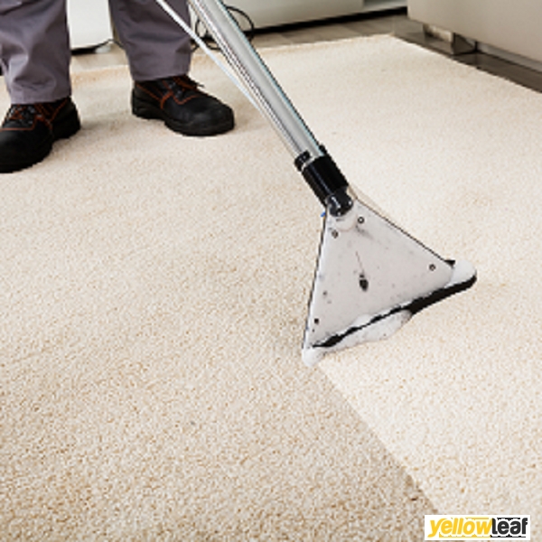 Pro Carpet Cleaning