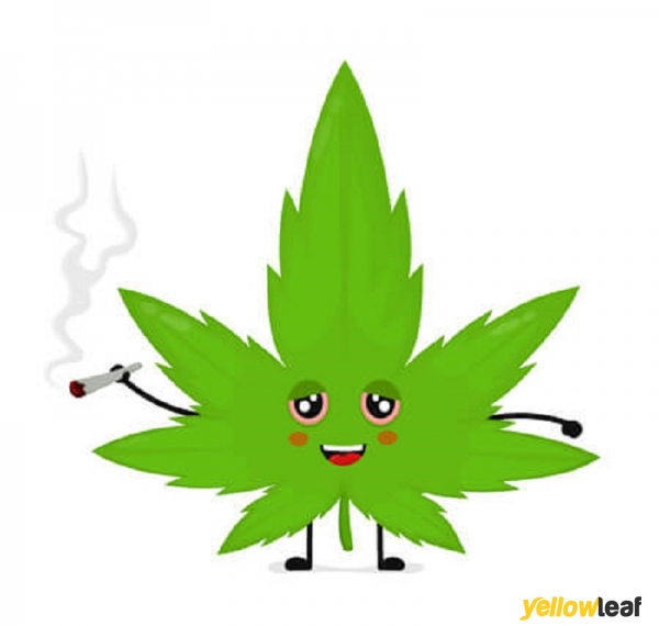 Cannabis Shop Online