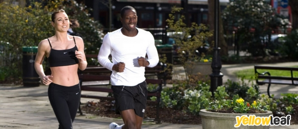 Stoneimage Management