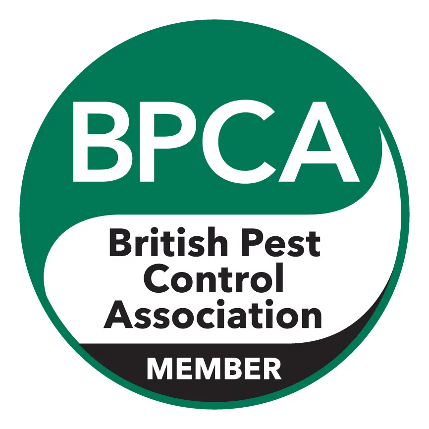 Bugwise Pest Control 