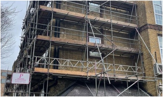 Profile Scaffolding