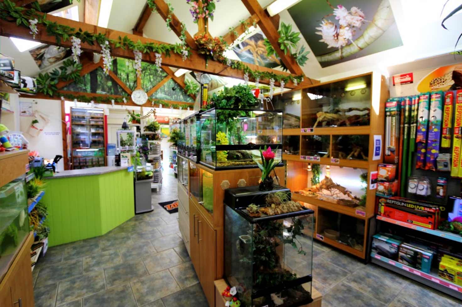 Northampton Reptile Centre