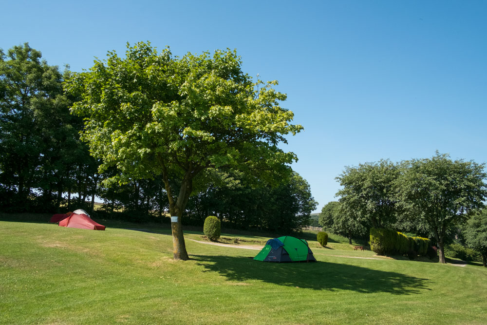 Lime Tree Holiday Park