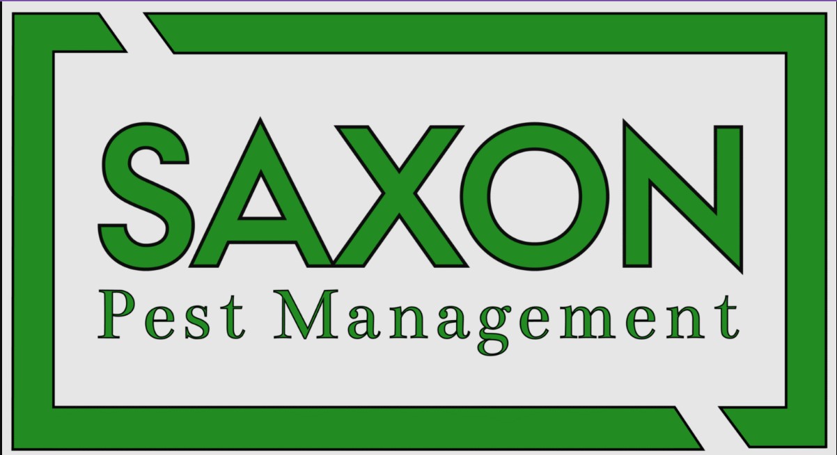 Saxon Pest Management
