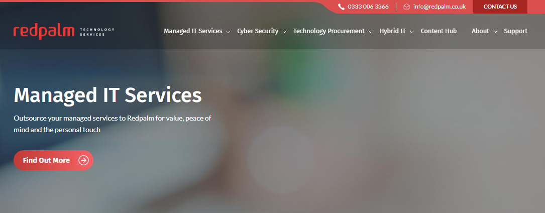 Redpalm Technology Services