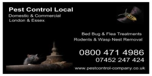 Pest Control Local