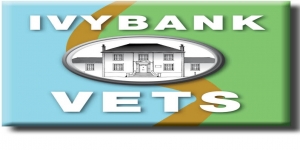 Ivybank Veterinary Clinic