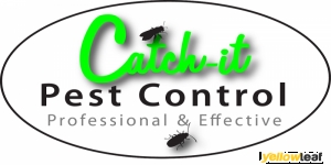 24 HOUR PEST CONTROL IN LONDON