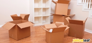 Neat Removals