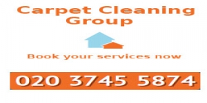 Professional Carpet Cleaners