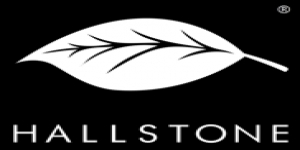 Hallstone Developments Ltd