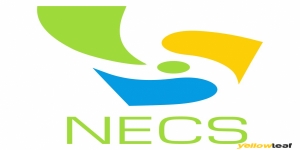 NECS Cleaning Newcastle