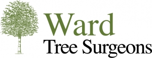 Ward Tree Surgeons Ltd
