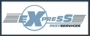 Express Dartford Pest Control