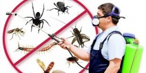 QK Pest Control