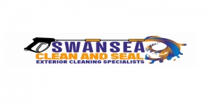 Swansea Clean and Seal