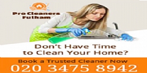 Pro Cleaners Fulham