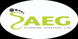 AEG CLEANING SERVICES