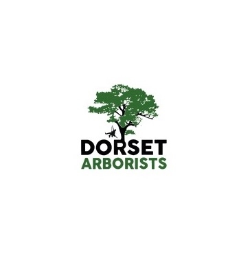 Dorset Arborists