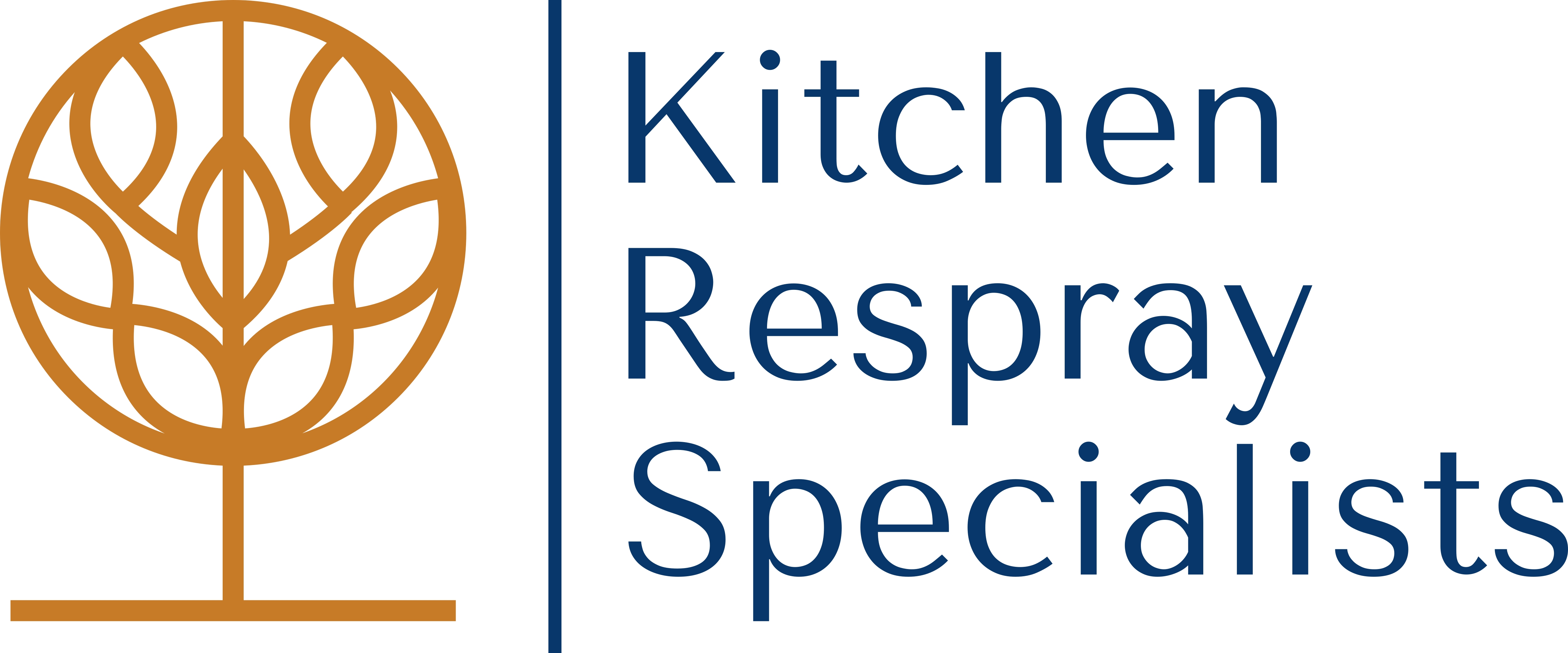 Kitchen Respray Specialists
